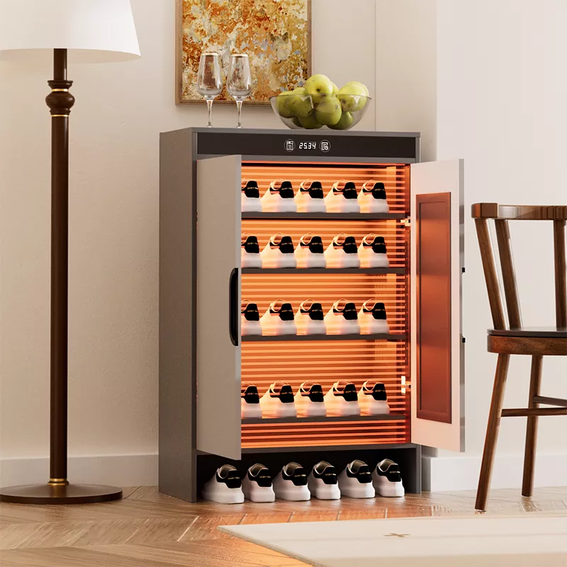 گرافین الیکٹرک ہیٹنگ ٹائمنگ سوکھنے جوتا کابینہ