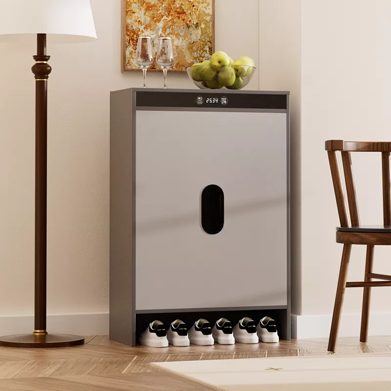 گرافین الیکٹرک ہیٹنگ ٹائمنگ سوکھنے جوتا کابینہ