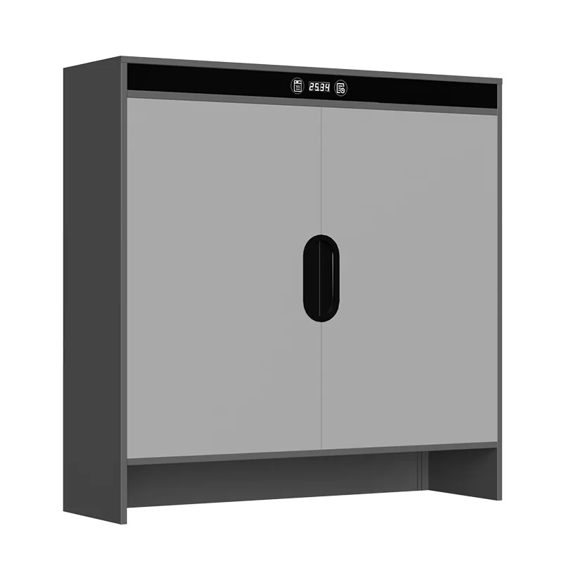 گرافین الیکٹرک ہیٹنگ ٹائمنگ سوکھنے جوتا کابینہ