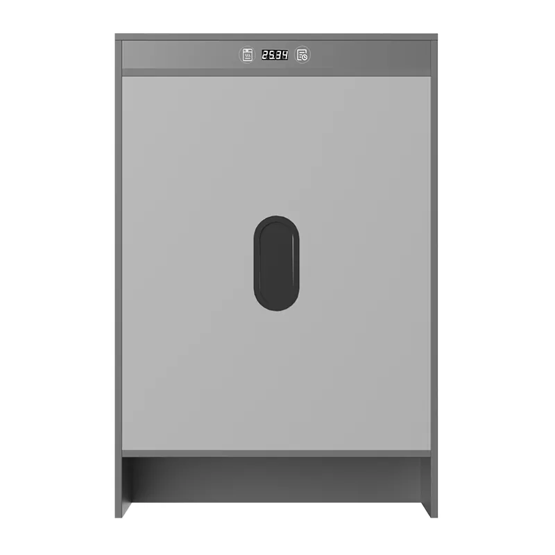 گرافین الیکٹرک ہیٹنگ ٹائمنگ سوکھنے جوتا کابینہ