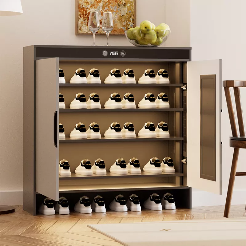 گرافین الیکٹرک ہیٹنگ ٹائمنگ سوکھنے جوتا کابینہ